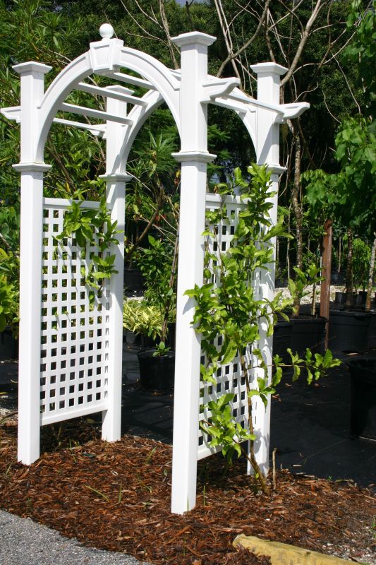 Lattice Arbor Installation in Wilmington, NC