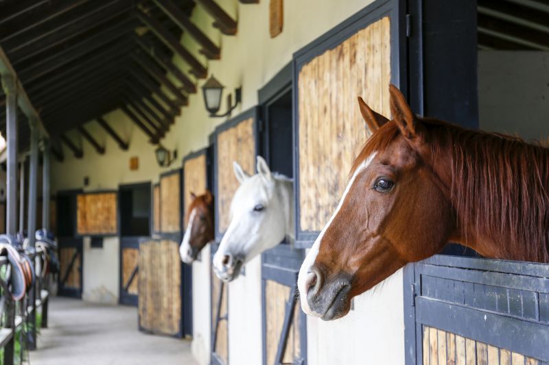 Stable Construction in Wilmington, NC