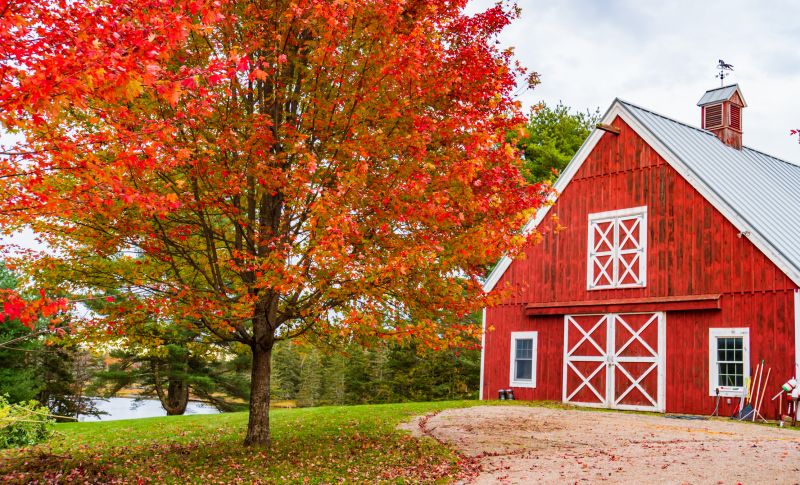 Barn Construction in Kansas City, KS