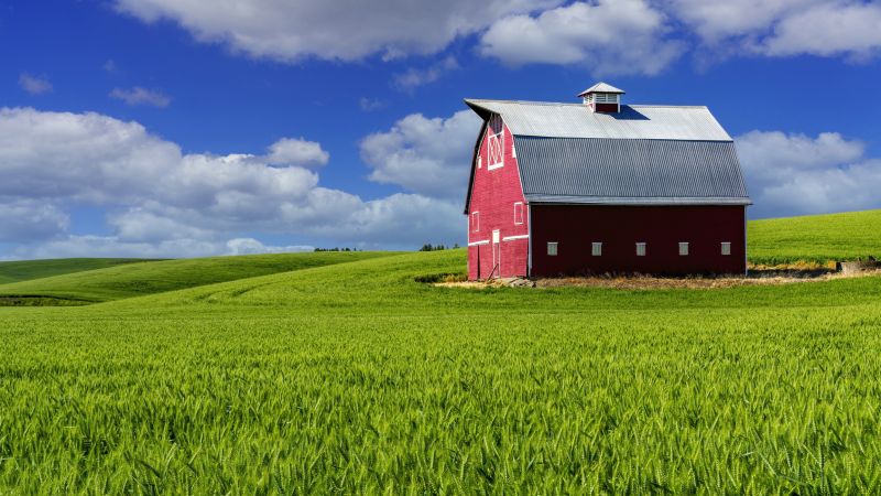 Barn Construction in Conroe, TX