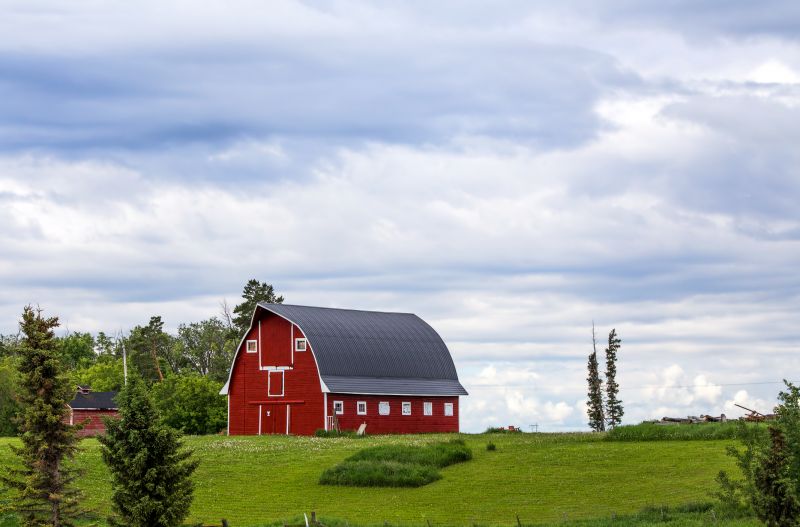 Barn Renovation in Olathe, KS