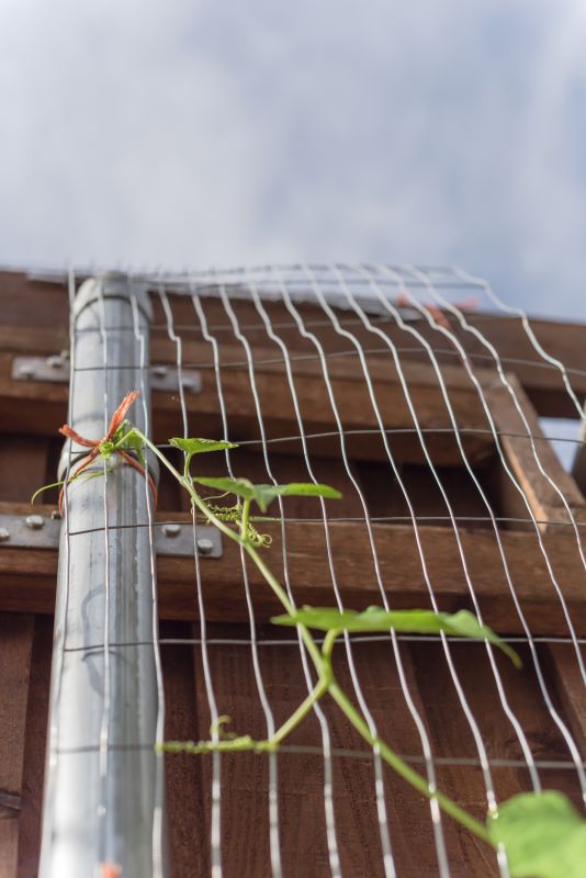 Fence Trellis Installation in Kansas City, KS