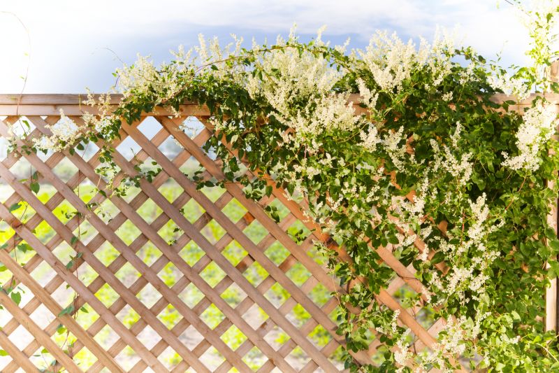 Fence Trellis Installation in Conroe, TX