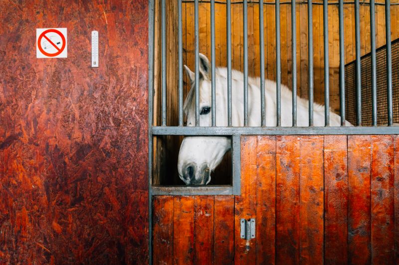Horse Stall Repair in Conroe, TX