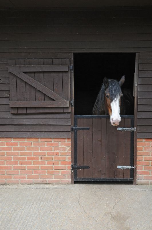 Horse Stall Repair in Kansas City, KS