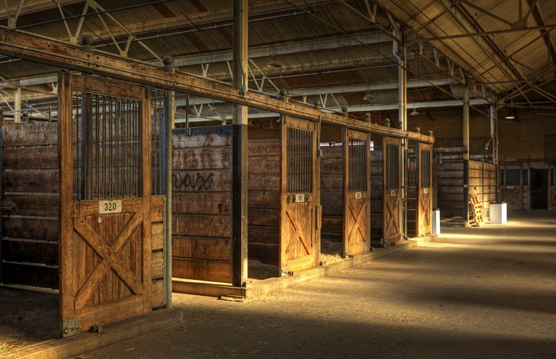 Livestock Barn Construction in Conroe, TX