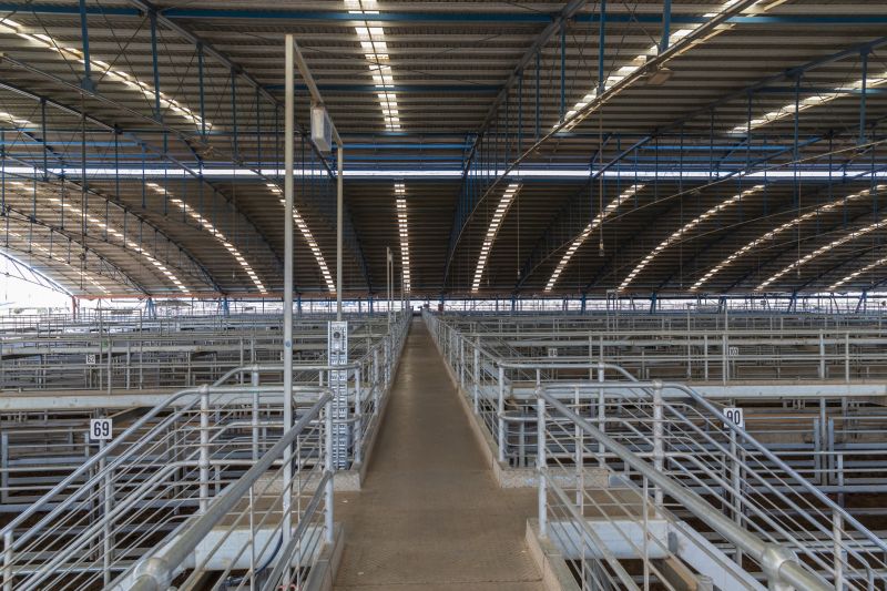 Livestock Barn Construction in Wilmington, NC