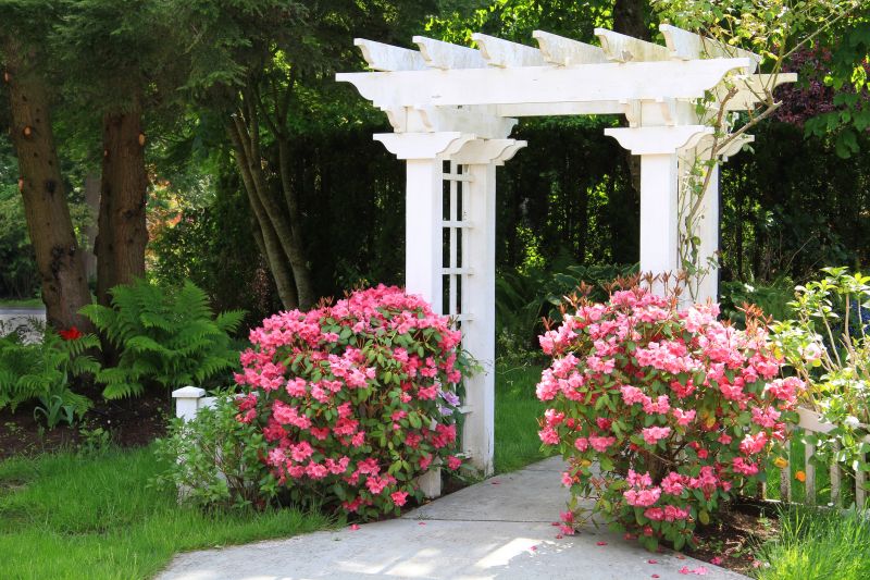 Privacy Arbor Installation in Conroe, TX