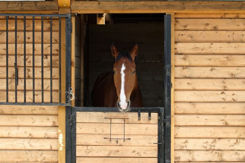 Stable Construction in Conroe, TX