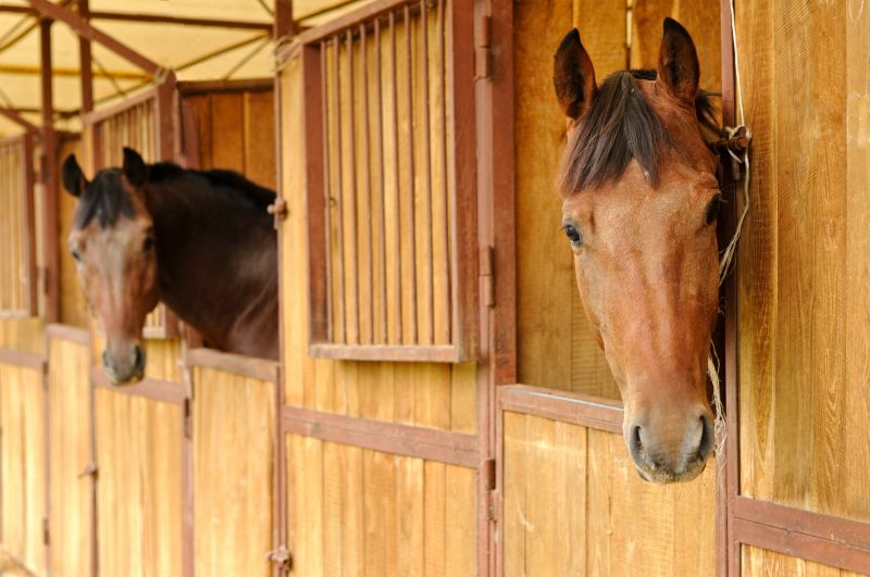 Stable Repair in Conroe, TX
