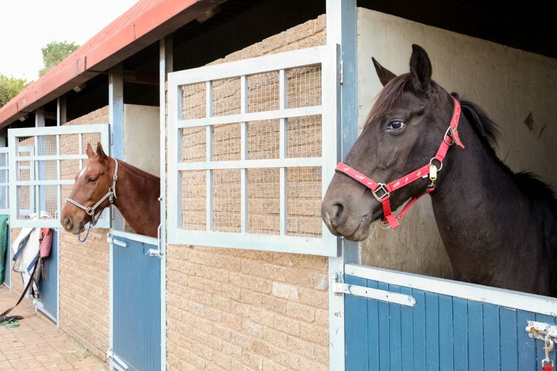 Stable Repair in Kansas City, KS