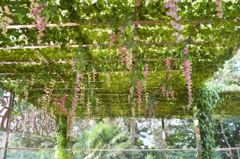 Vineyard Trellis Installation in Kansas City, KS